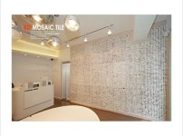 2011.11 [시공갤러리] 패션샵 [HYADES 파리] 아트월 시공 6.jpg