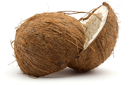 코코넛열매480.jpg